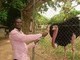Date this charming Nigeria man EBENEZER from Ibadan NG40