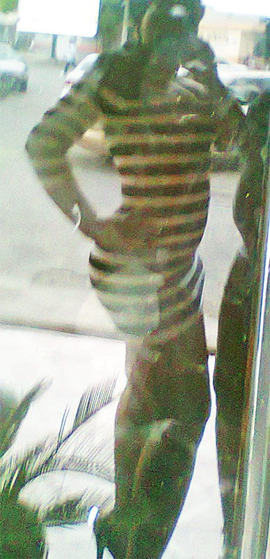 Date this passionate Dominican Republic girl Cinthia from Santo Domingo DO10013