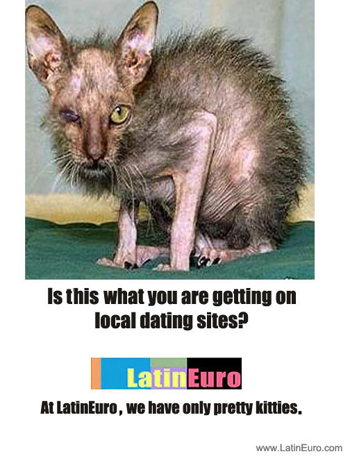 Date this gorgeous Dominican Republic girl  from  DO10114